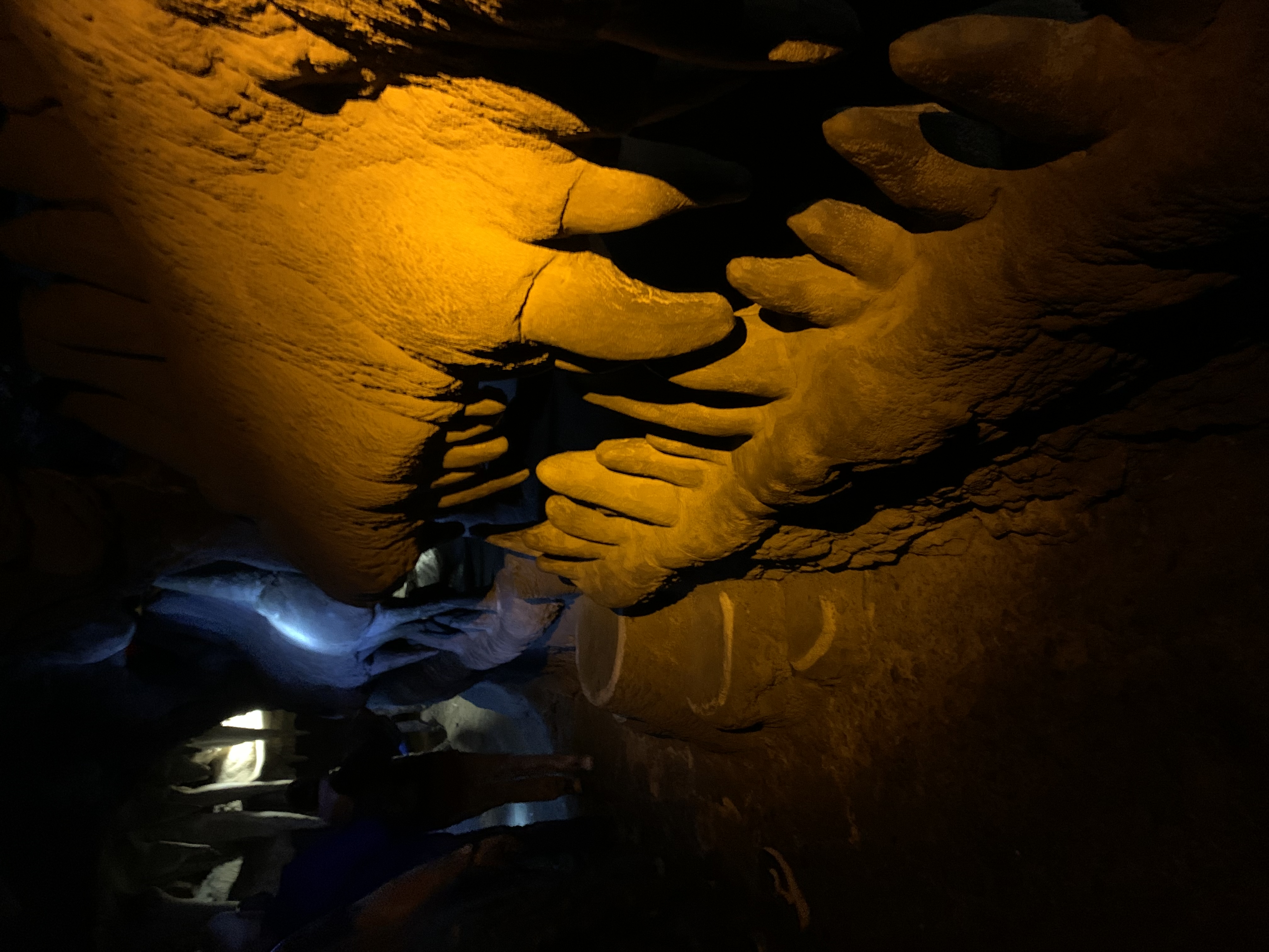 ./2022/06 - St Louis/03 - Day 3/20220523-112237633.JPG